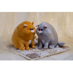 Котошарик №2